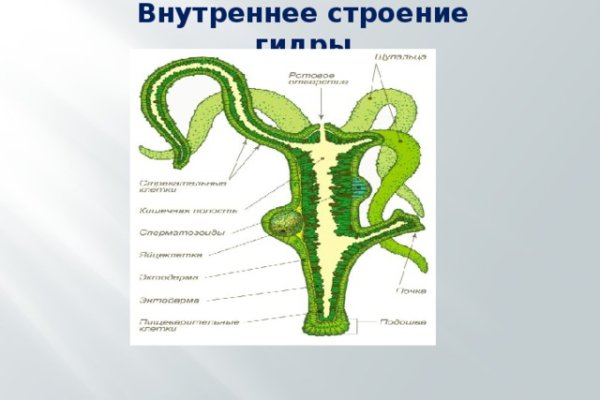 Не входит в кракен пользователь не найден