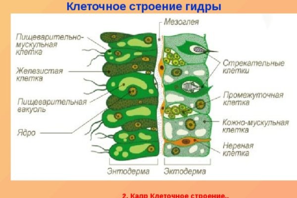 Что можно купить в кракене